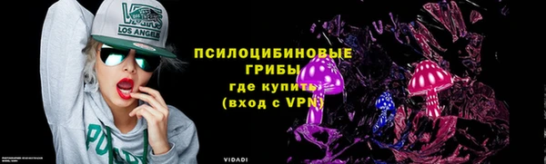 бошки Нефтегорск